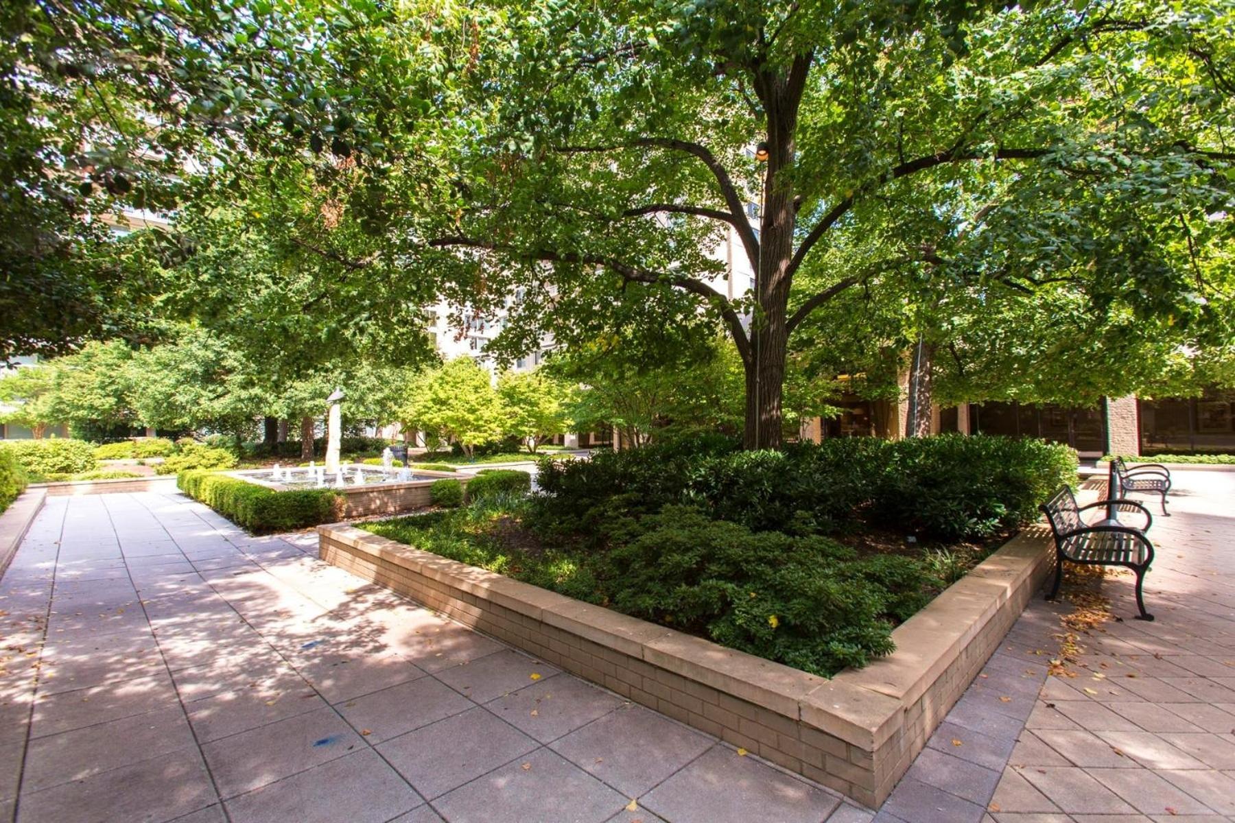 Fantastic 2 Bedroom Apartment With Gym At Arlington Exterior foto